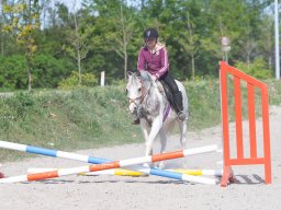 2009 Springundervisning